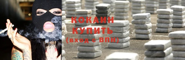 соль ск Алексин