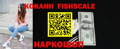 индика Новозыбков