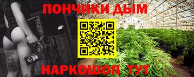 mdpv Новодвинск