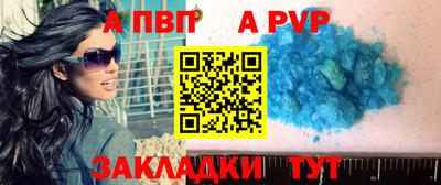 индика Новозыбков