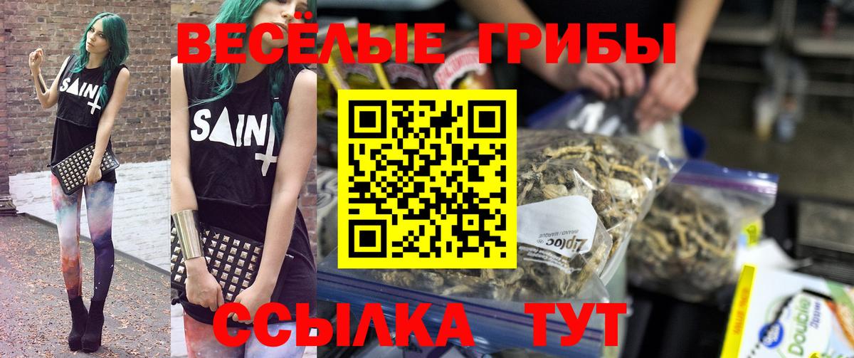 Псилоцибиновые грибы Psilocybe  Вход с VPN  Чайковский 